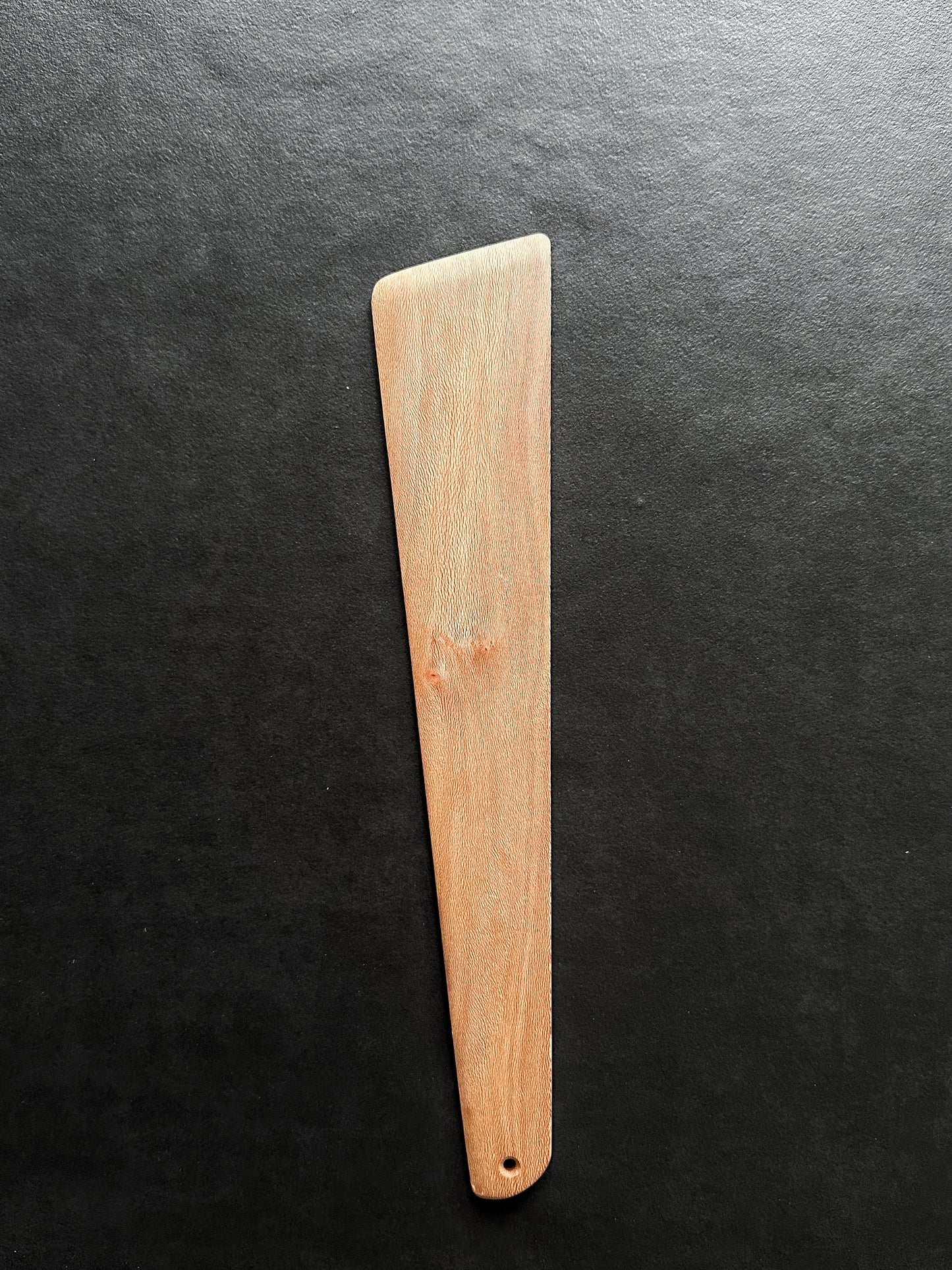 La Spatule de Cuisine T4 RIVAGES - PLATANE #401